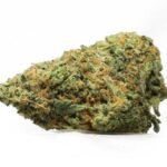 SUPER SILVER HAZE STRAIN