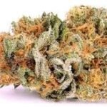 Train Wreck Weed