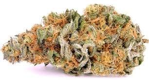 train-wreck.jpeg Train Wreck Weed - Image 1