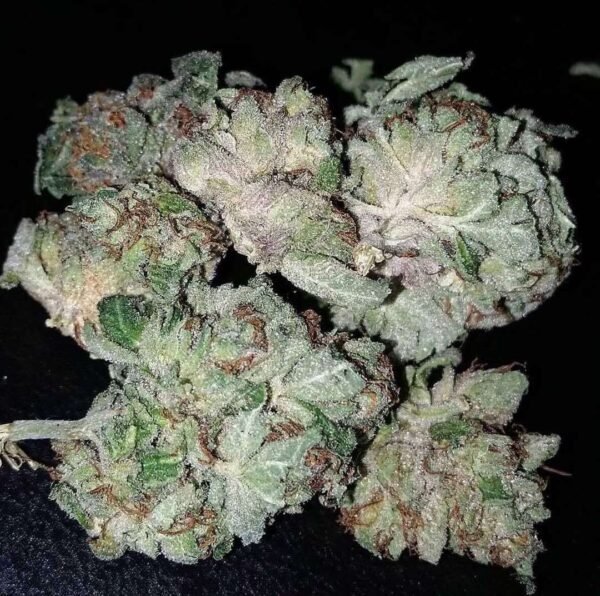 white-widow-600x596-1.jpg White Widow Strain - Image 1