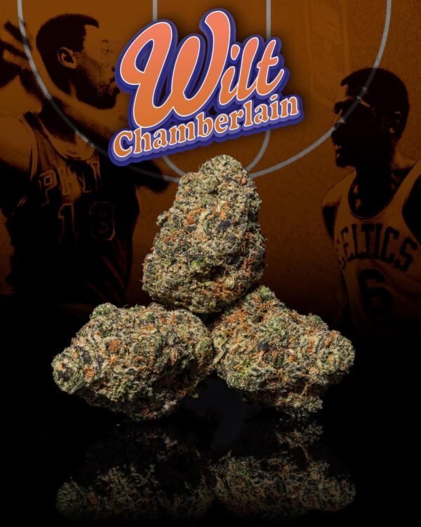 wilt-chamberlain-weed-strain-600x750-1.jpg Wilt Chamberlain Strain - Image 1